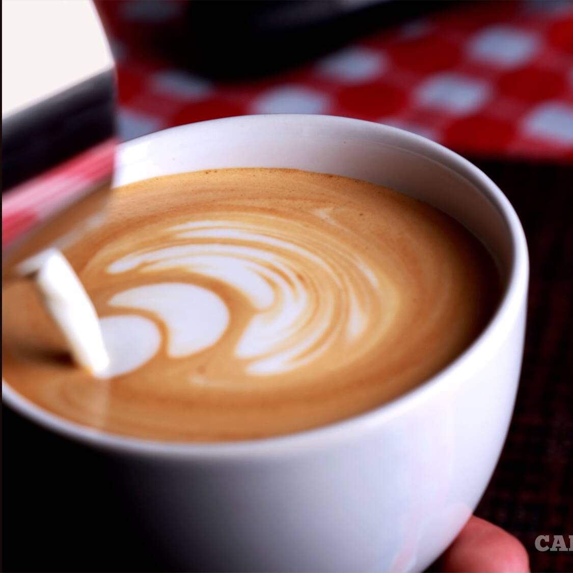 Latte Irlandés Mediano