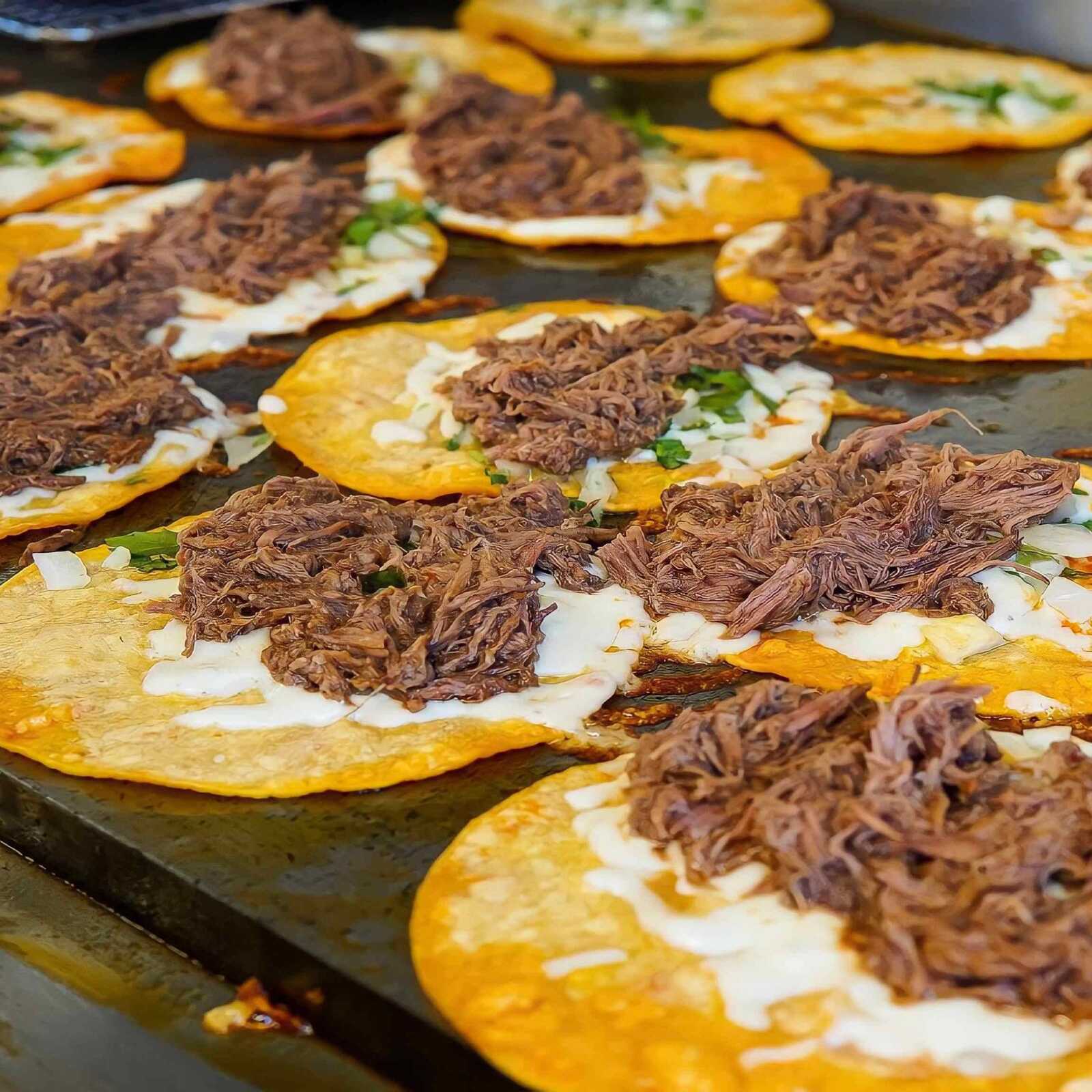 Quesadilla de Birria