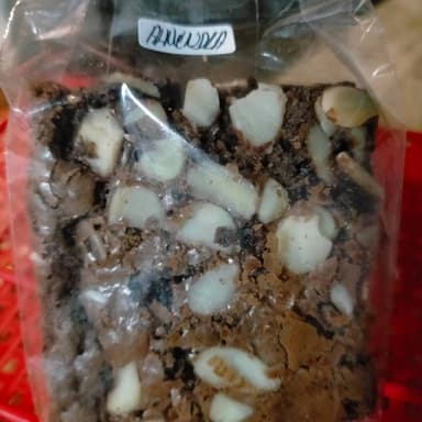 Brownie Almendra