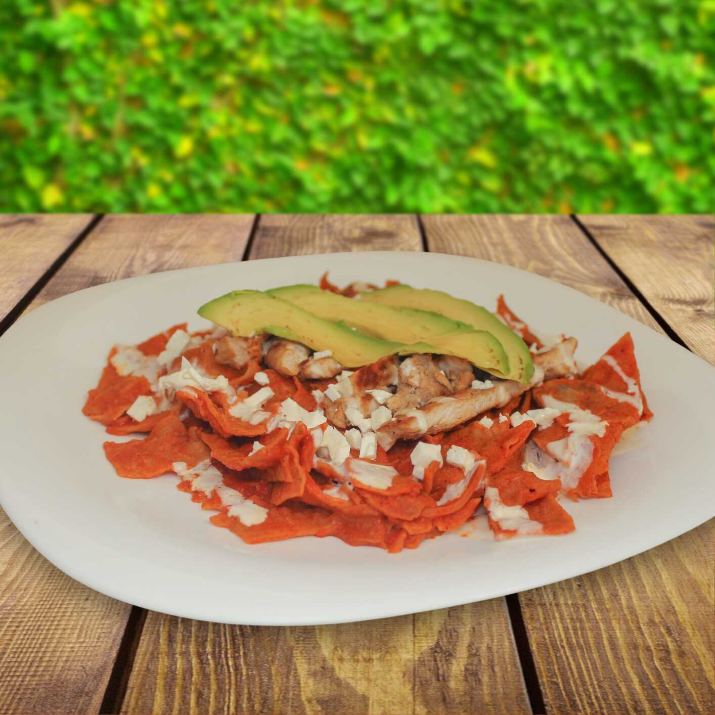 Chilaquiles Rojos con Pollo a la Plancha