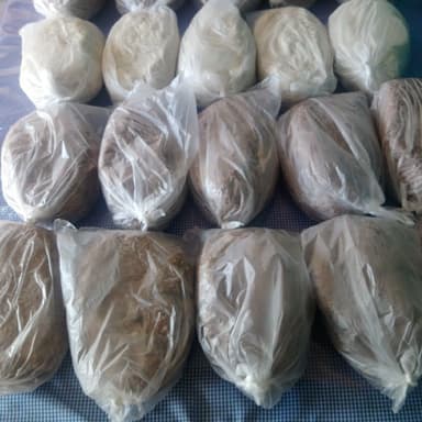 Kilo de Pozol con Cacao