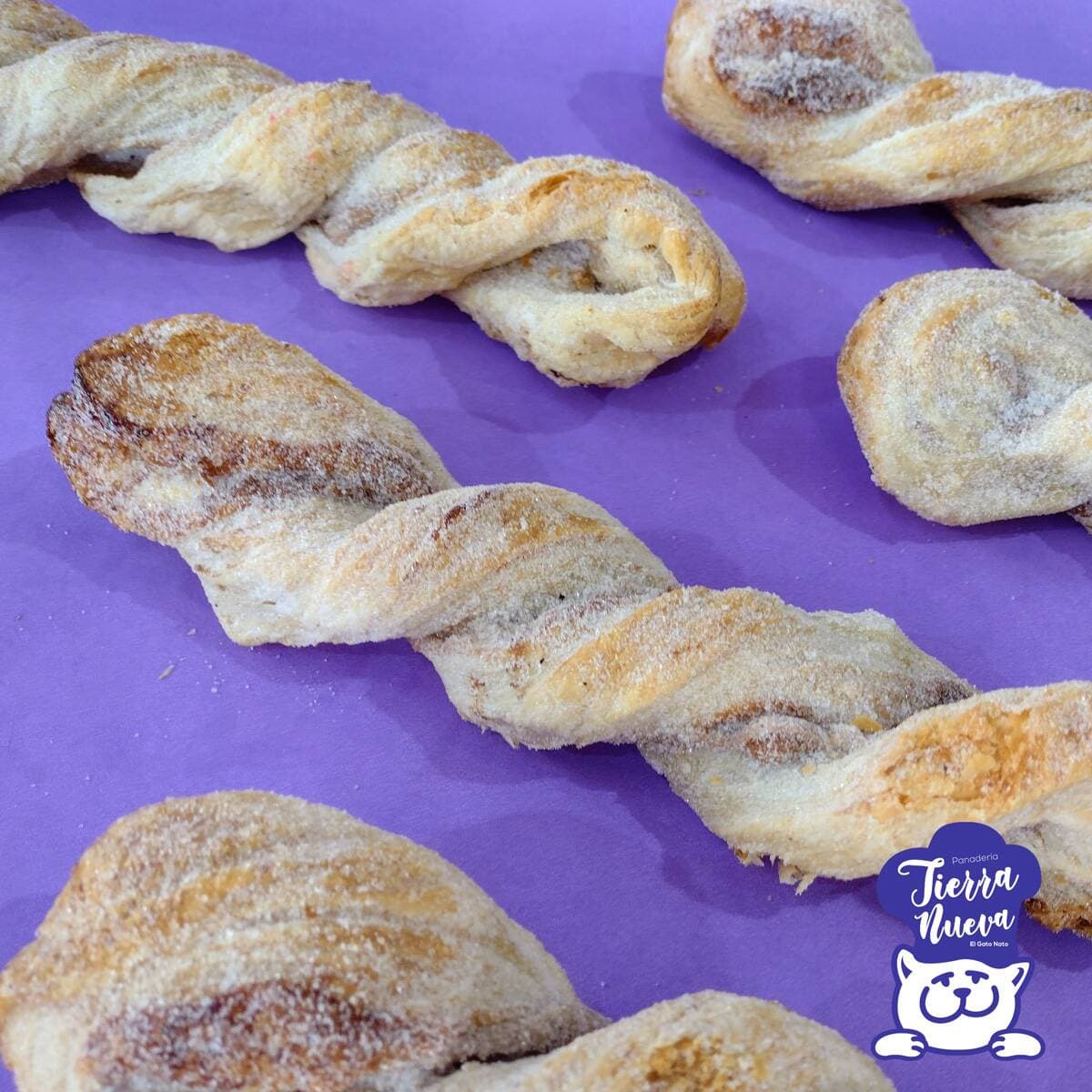 Trenza (Broca)