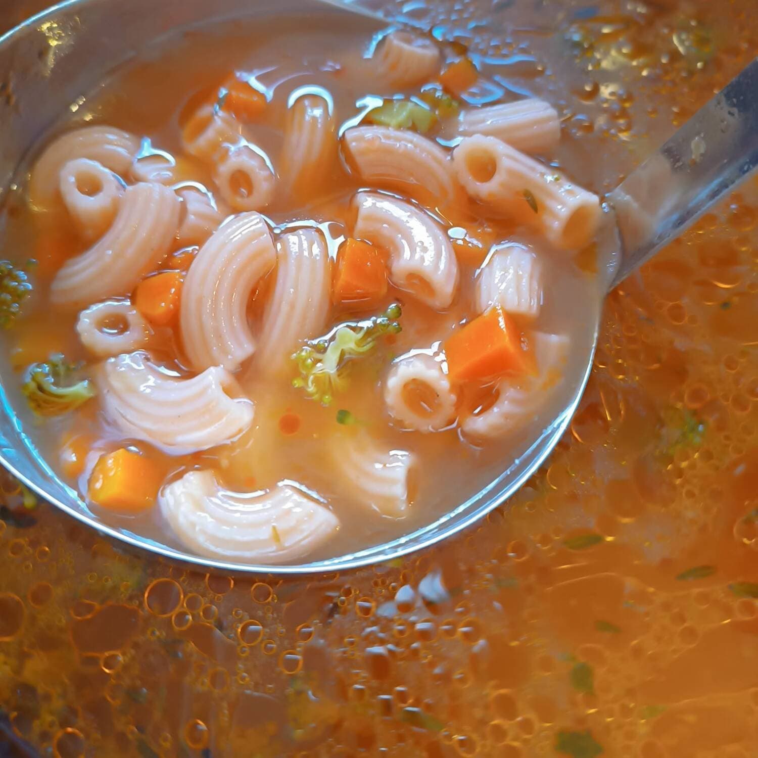Sopa del Día 1/2 Orden
