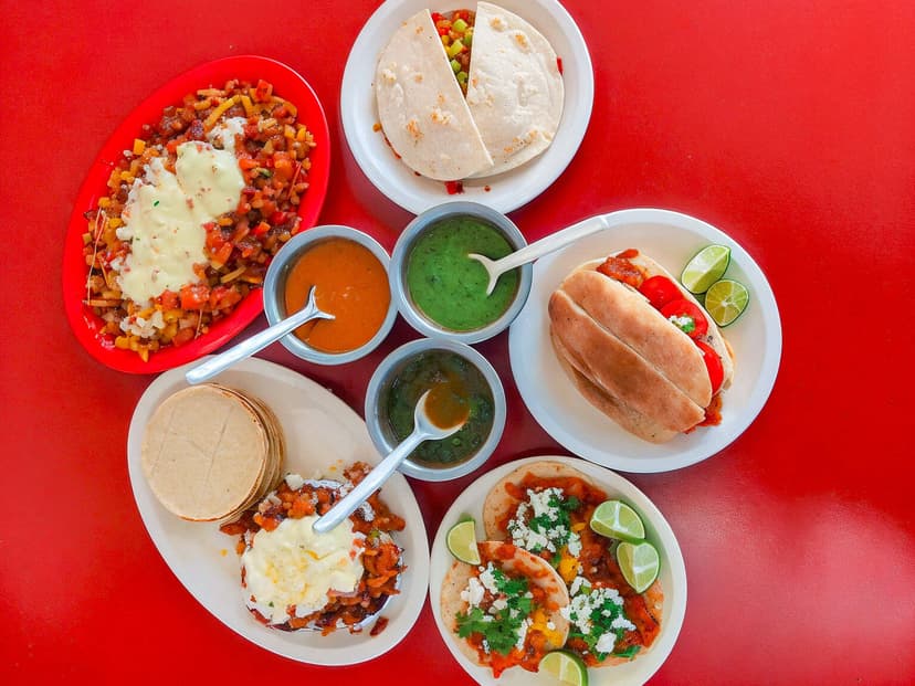 TACOS LA FOGATA SUC. PLAZA DE TOROS