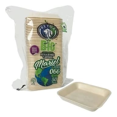 Plato desechable chico