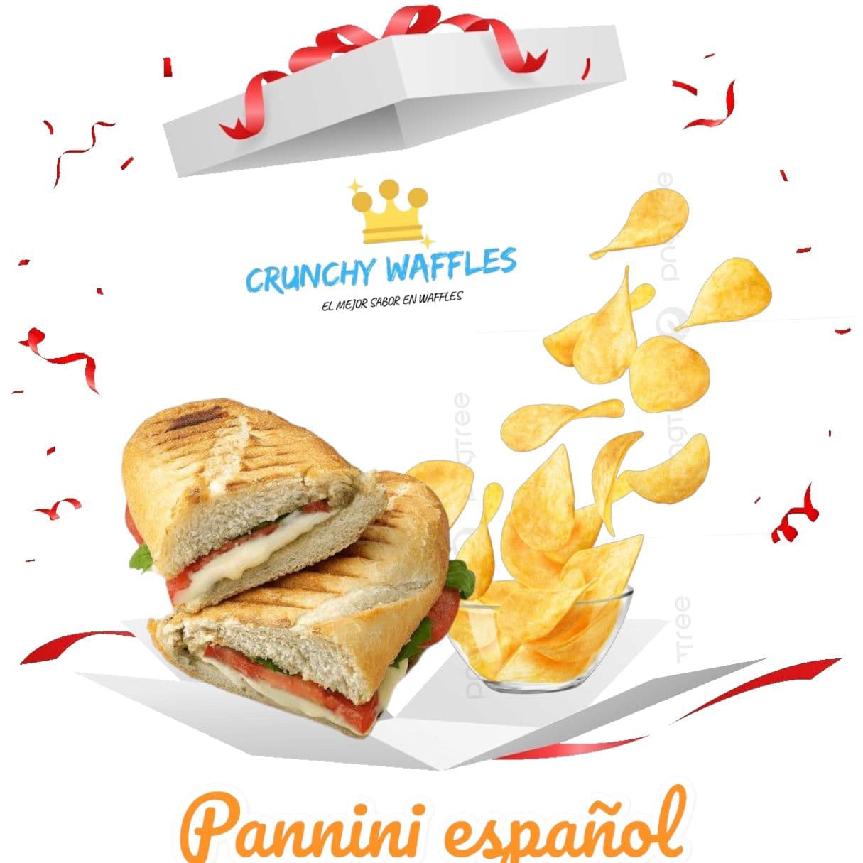 Panini Español