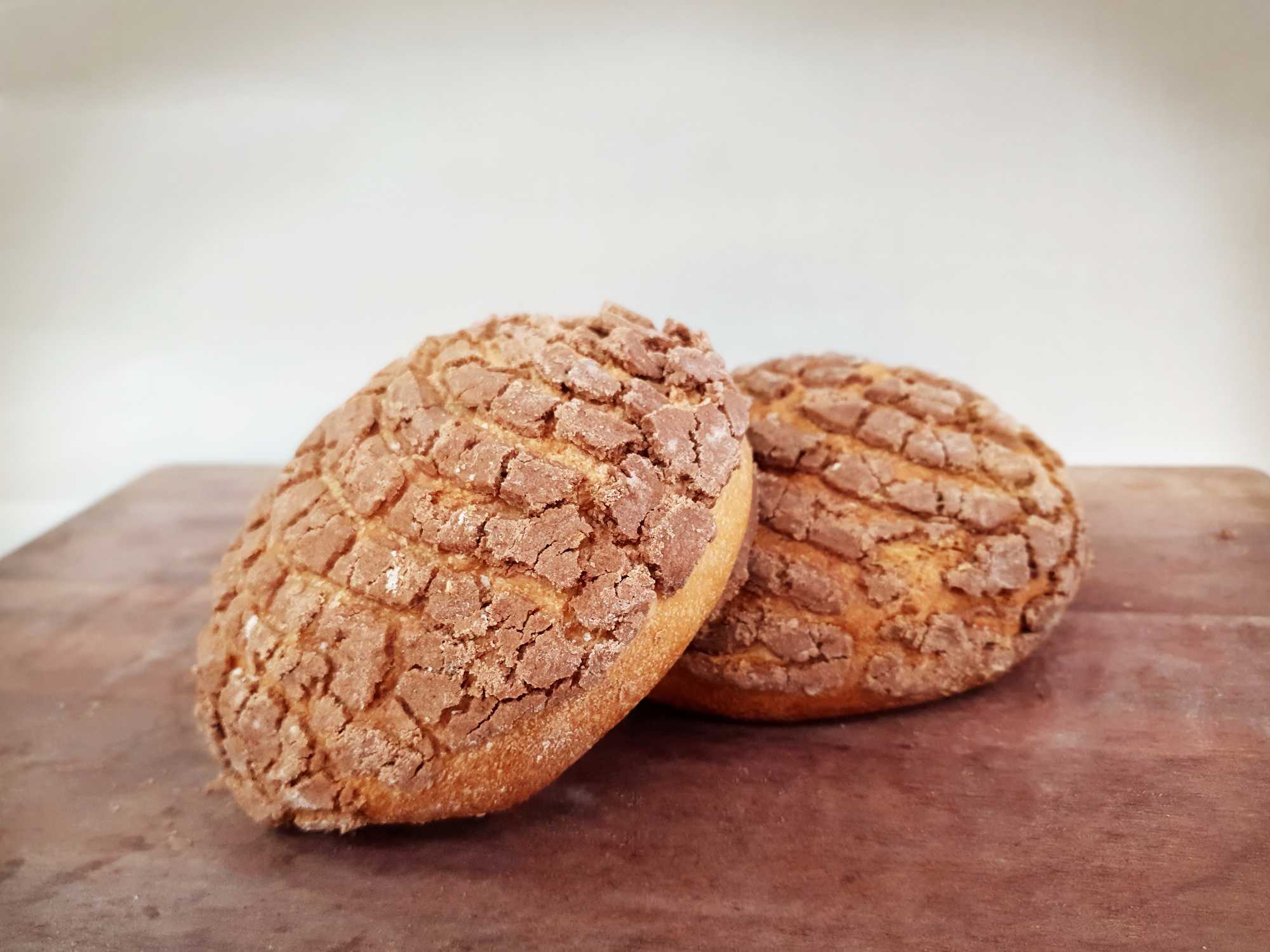 Pan Concha de Chocolate