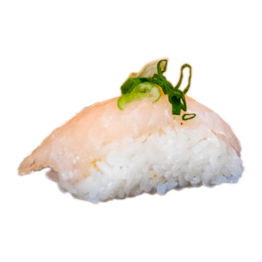 ROBALO