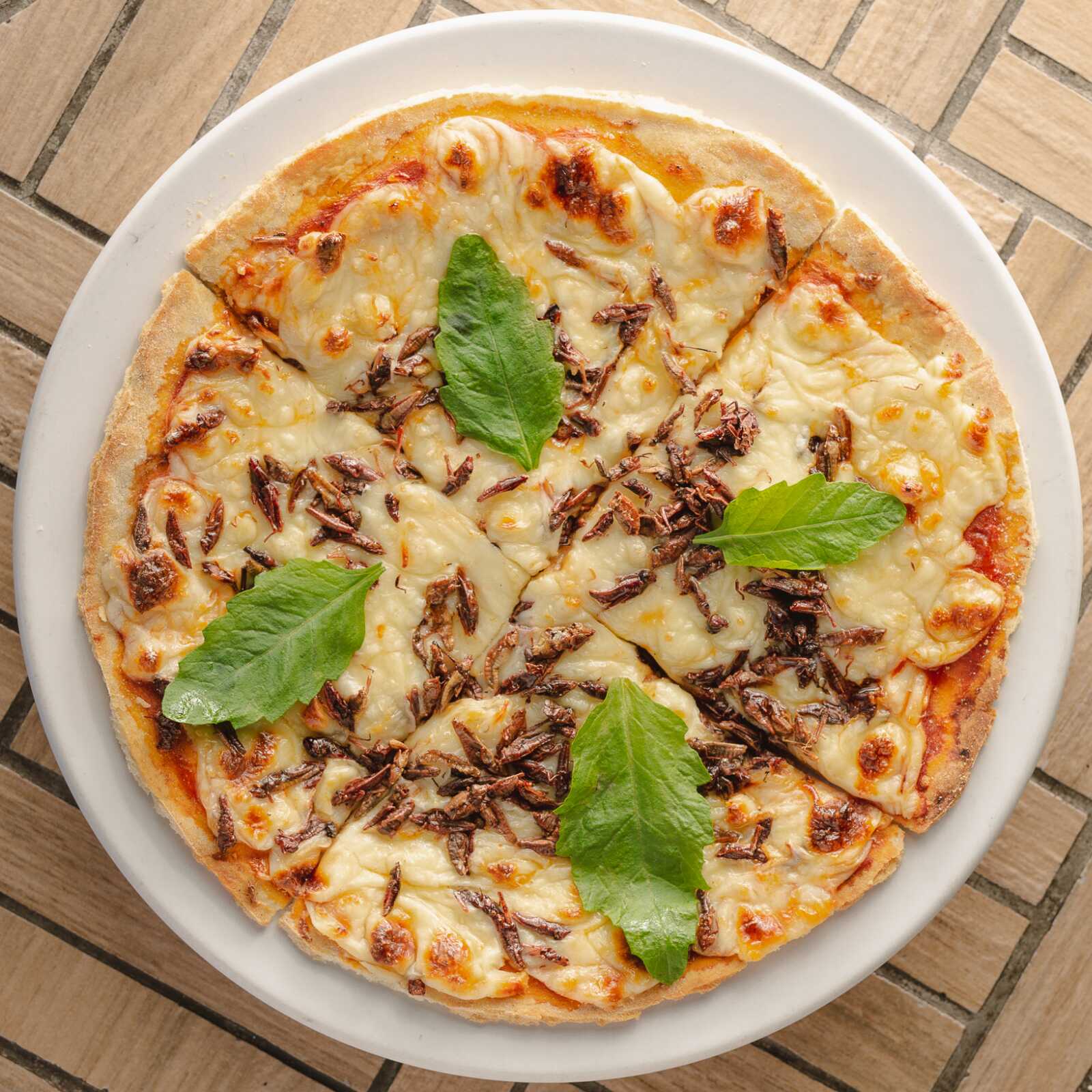 Pizza Mestiza (30 Cm)