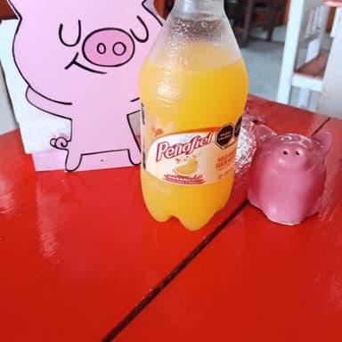Naranjada peñafiel Pet 355 ml