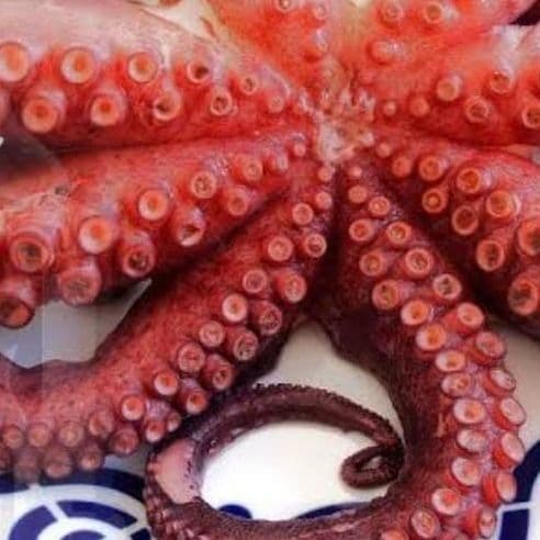 Pulpo
