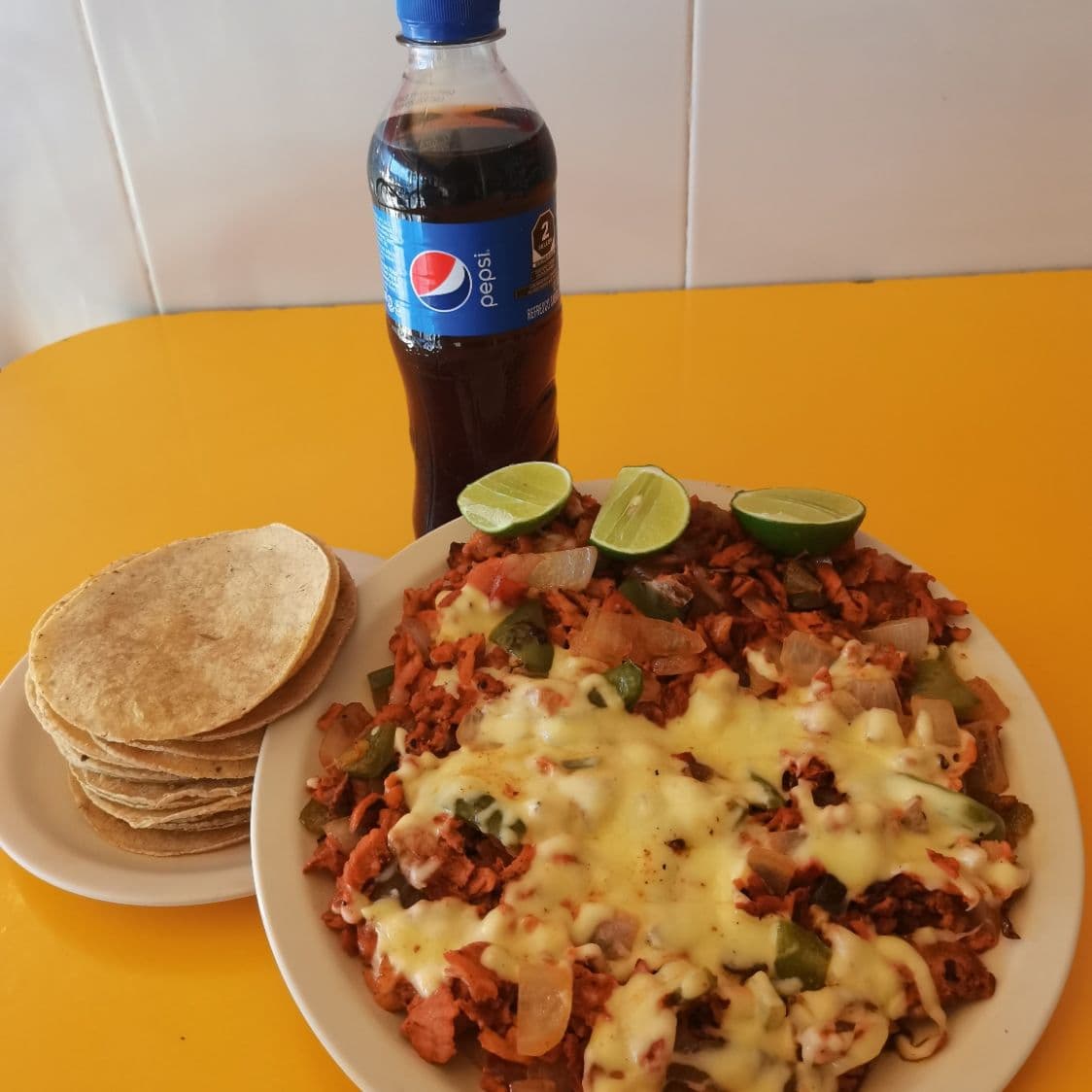 Alambre de Pastor + REGALO 1 Refresco de 400 Ml.