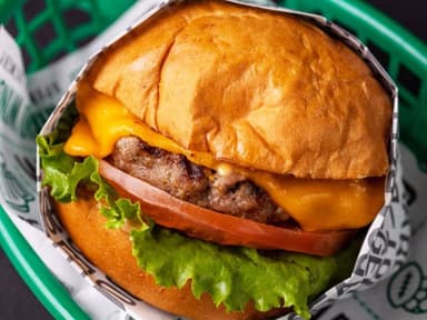 Raptor Burger
