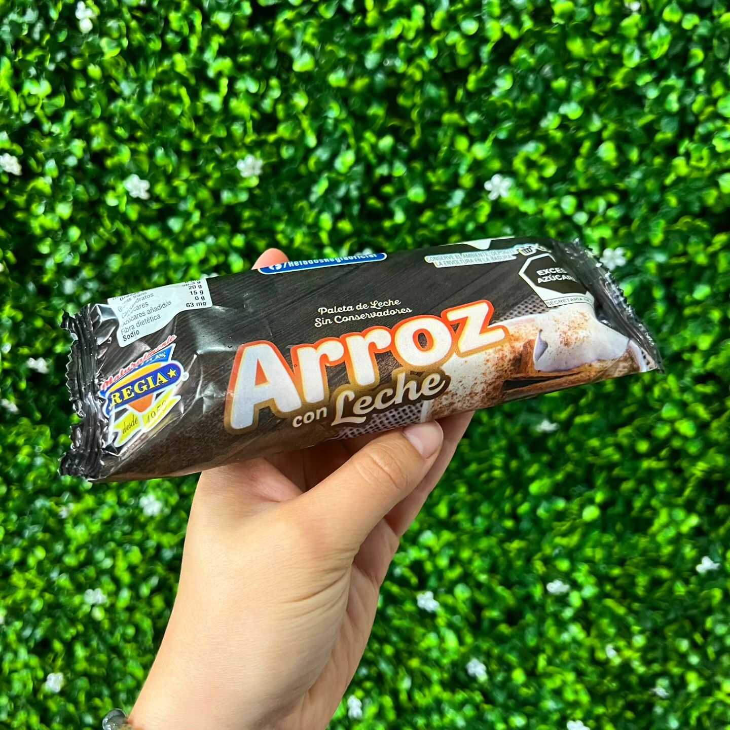 Paleta Crema Arroz con Leche