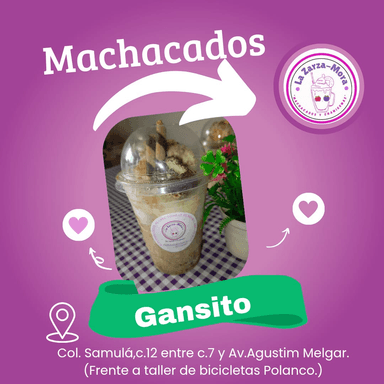 MACHACADO DE GANSITO