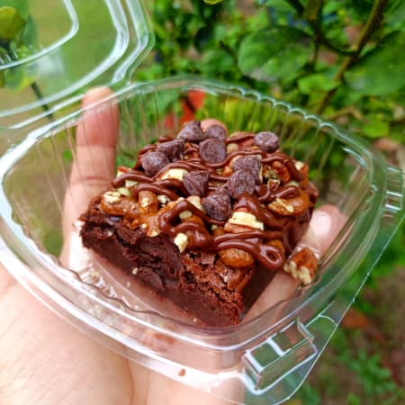 Brownie Tortuga.