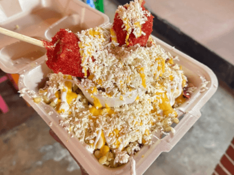 LOS ESQUITES DE LA TIA KRIS
