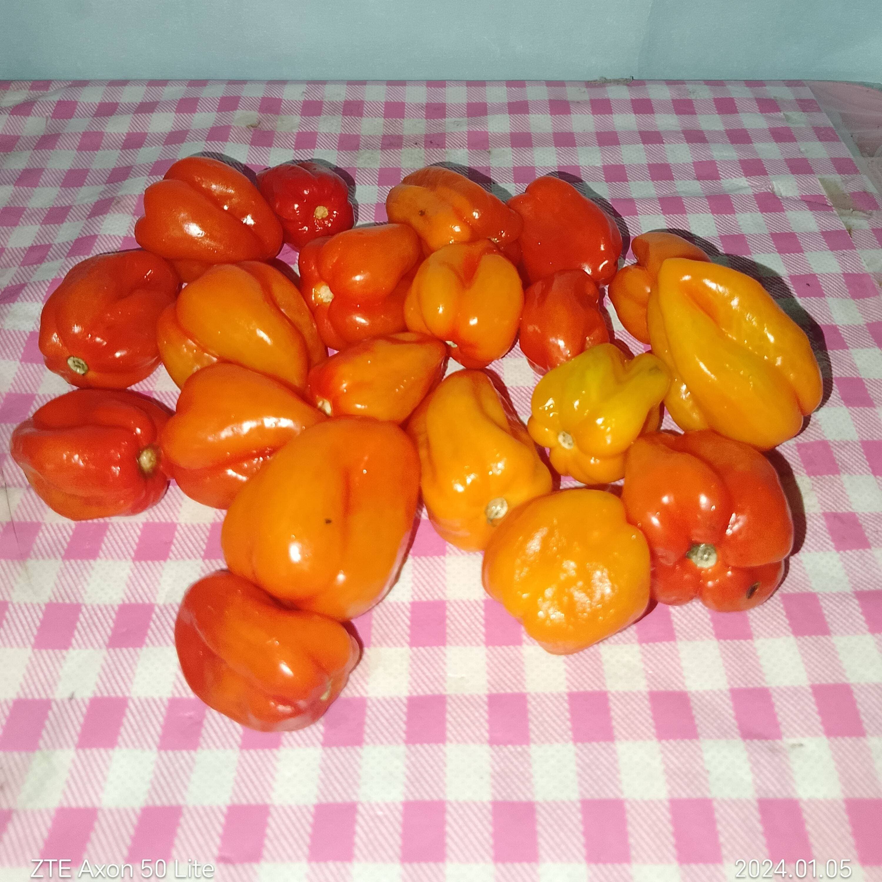 Orden de Chile Habanero Asado