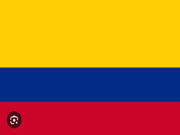 Delicias Colombianas el Patrón
