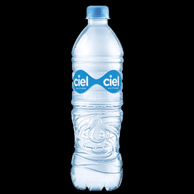 AGUA NATURAL 600