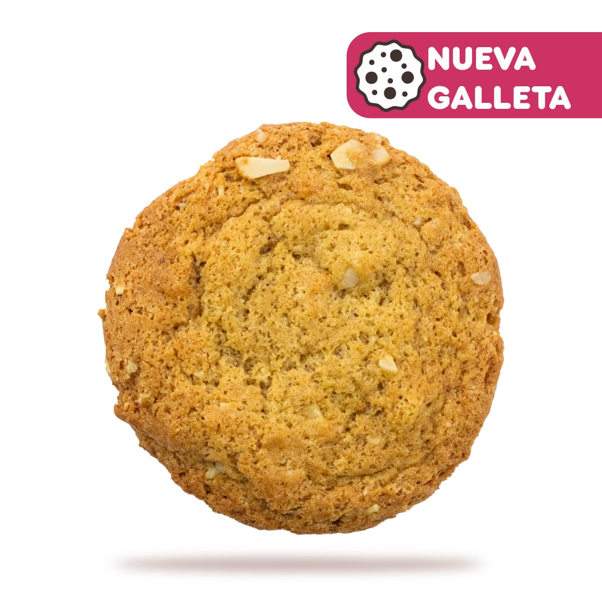 Macadamia