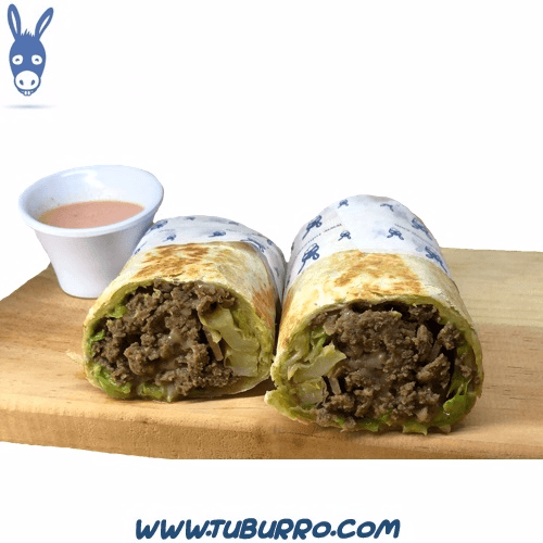 Burro de la Casa