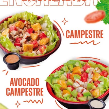 ENSALADA AVOCADO CAMPESTRE