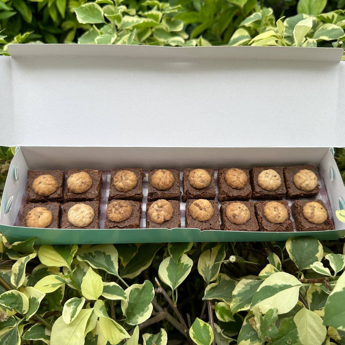 Favorite Box