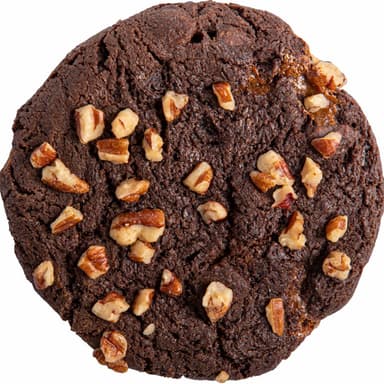 Galleta Tortuga