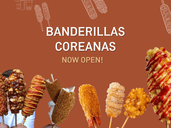 PANKI BANDERILLAS COREANAS