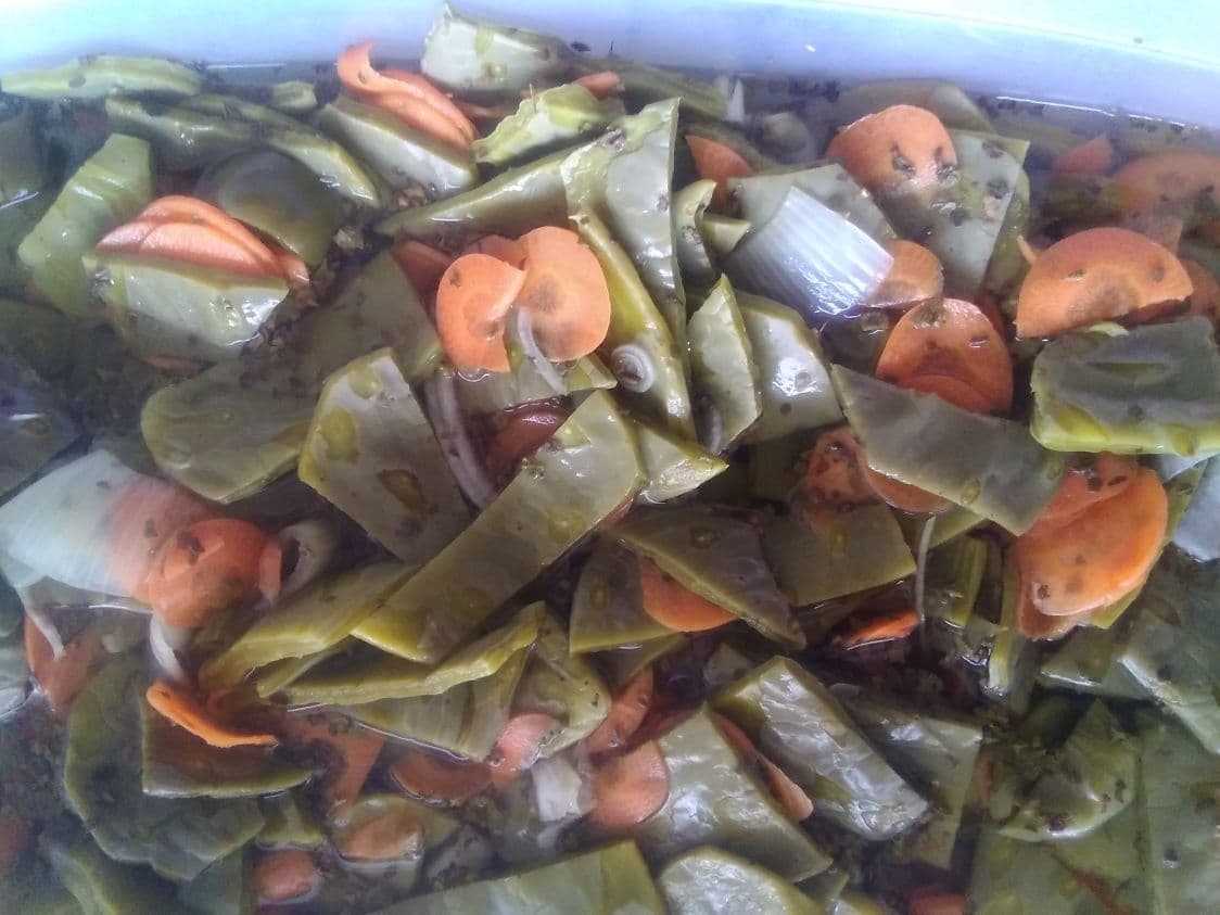 Orden de Nopales