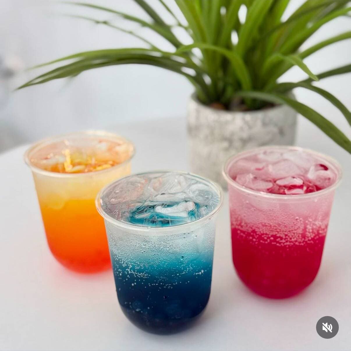 Bubble Soda Maracuyá 16oz