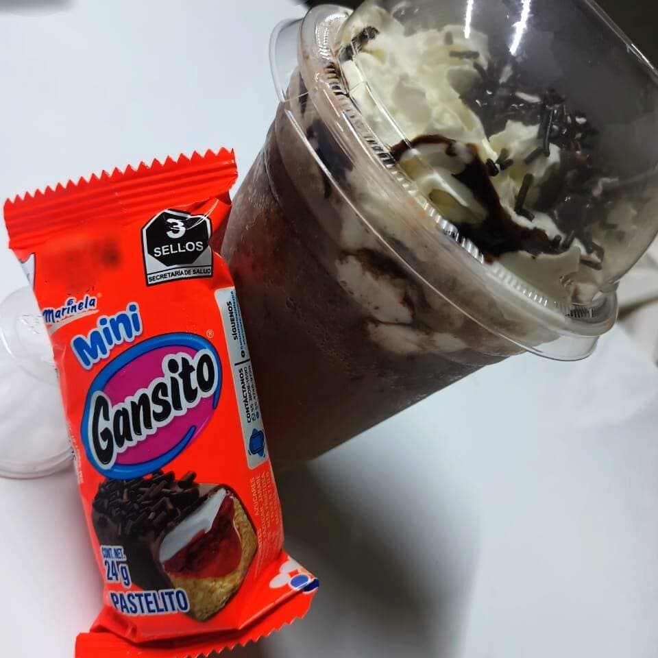 FRAPPE GANSITO 14 OZ