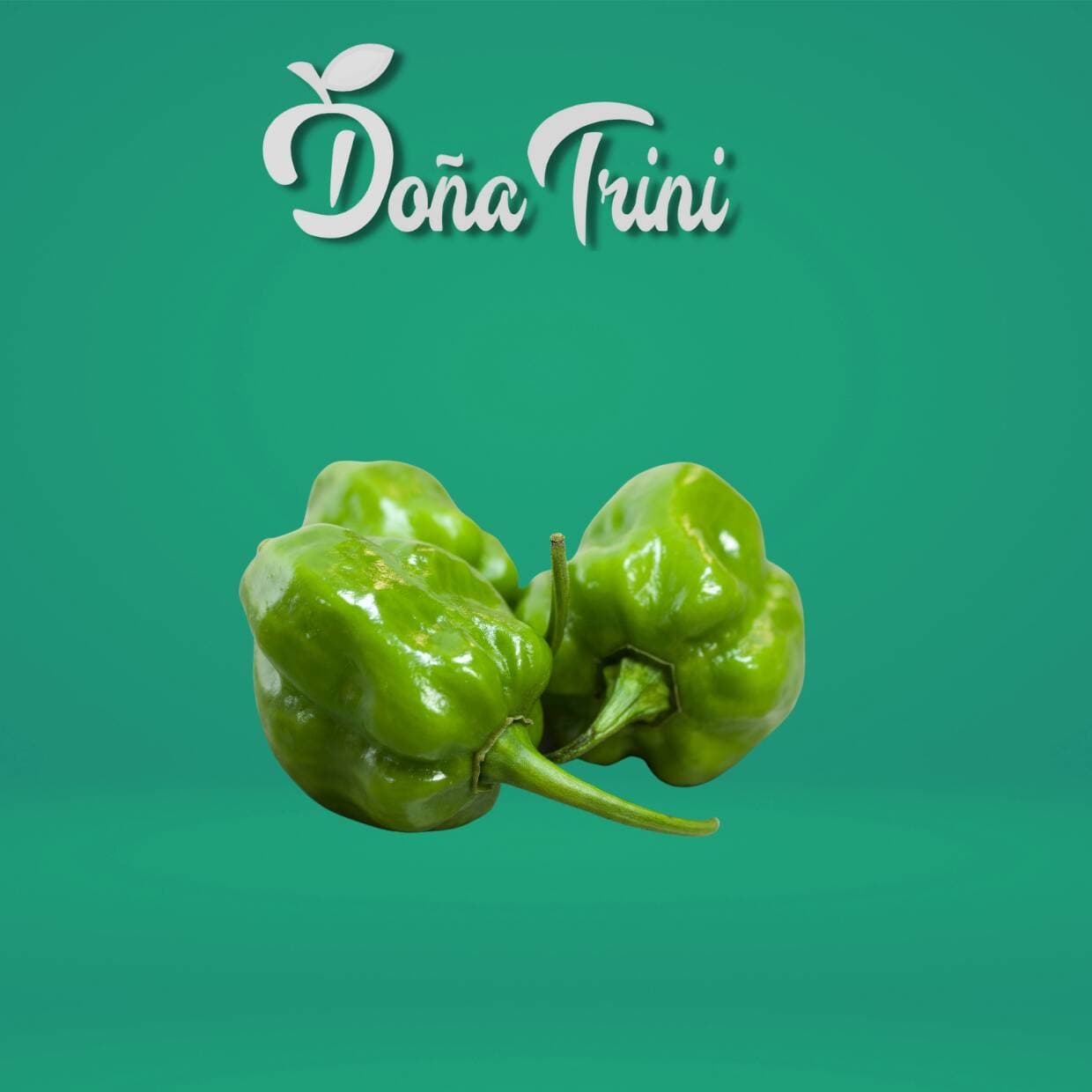Chile Habanero
