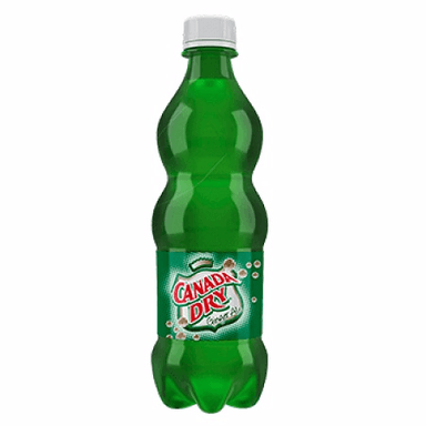 Ginger Ale 600 ml