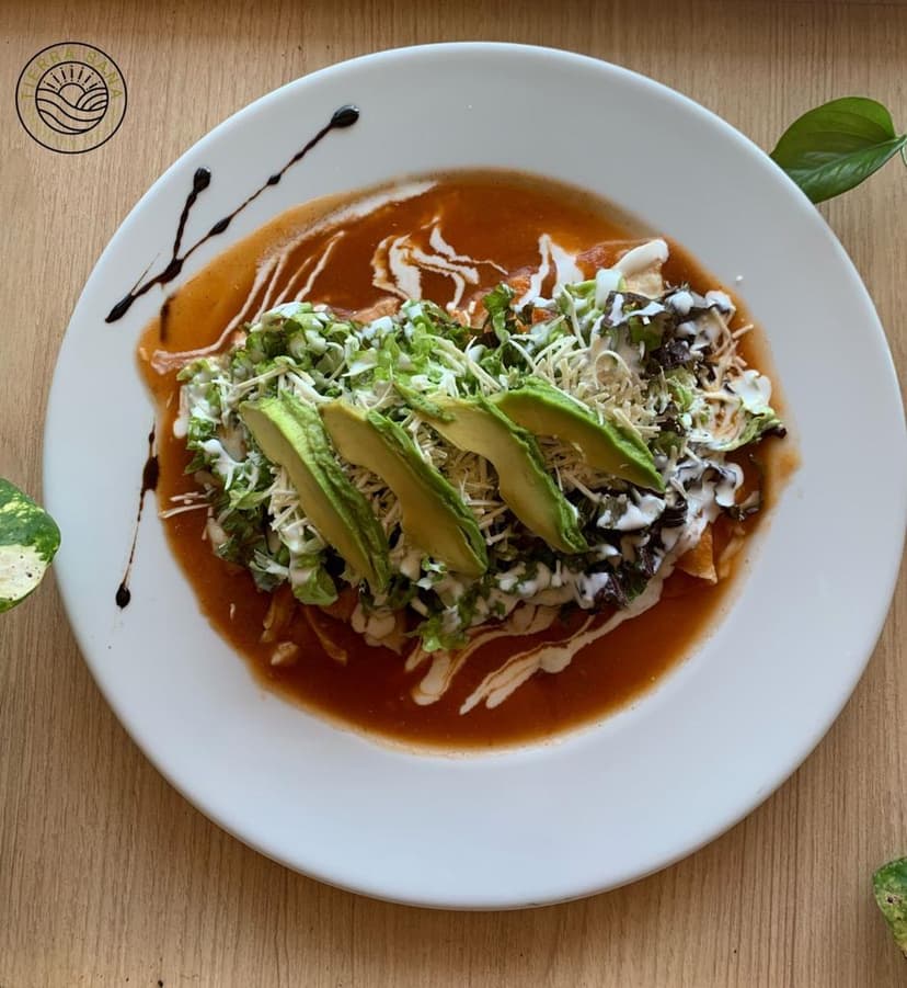 Tierra Sana - Healthy food
