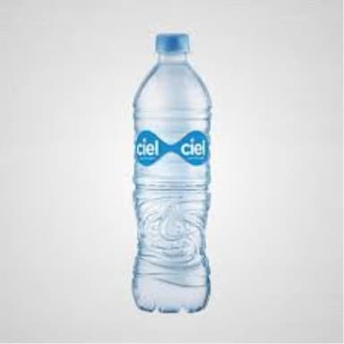 BOTELLA AGUA NATURAL 600 ML