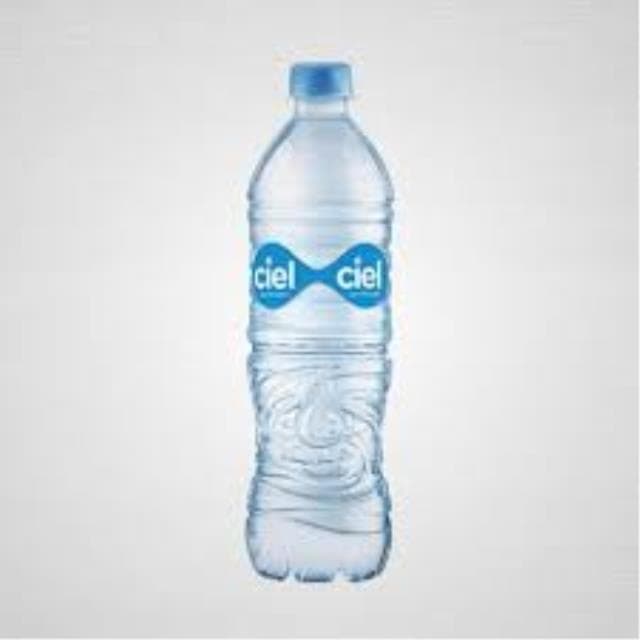BOTELLA AGUA NATURAL 600 ML