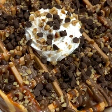 Waffle Tortuga
