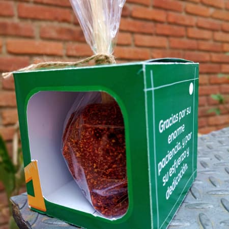 Manzana Día del Maestro