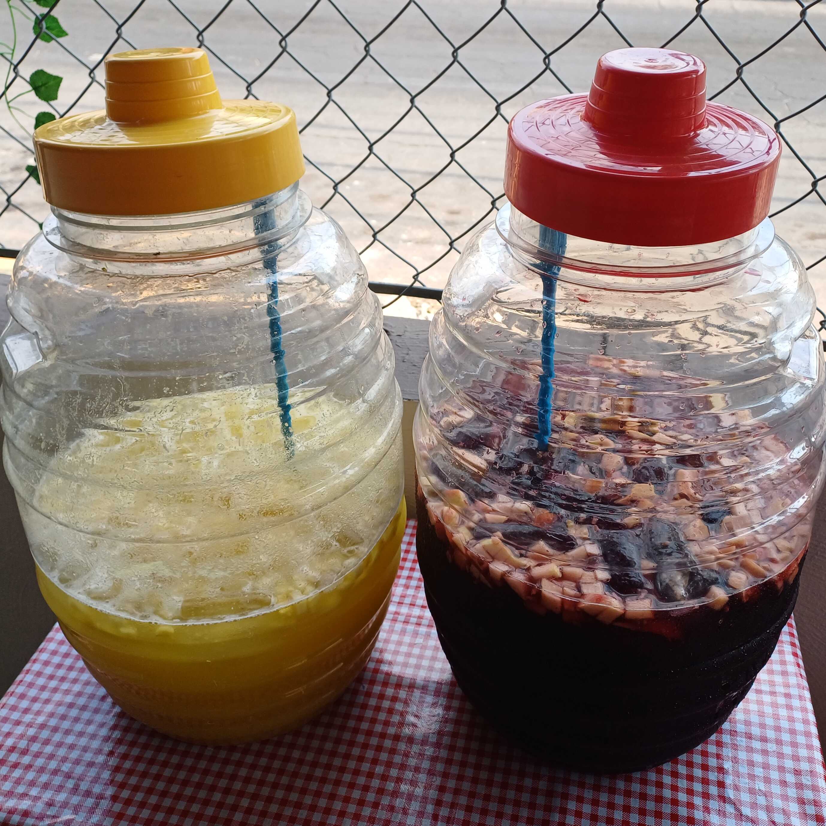 Agua Fresca 1/2 L