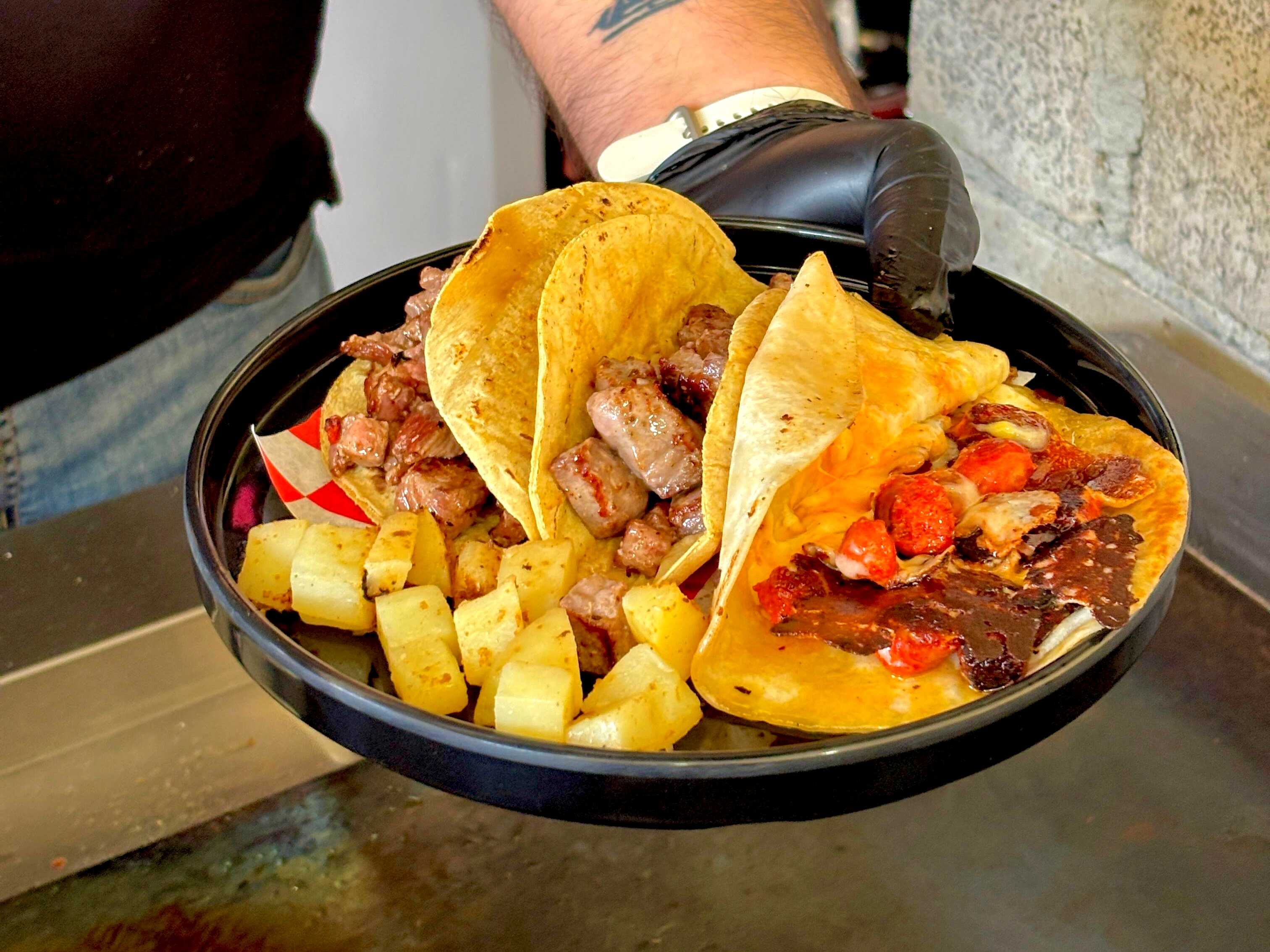 TACO TULIPÁN