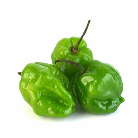 Chile de amor
