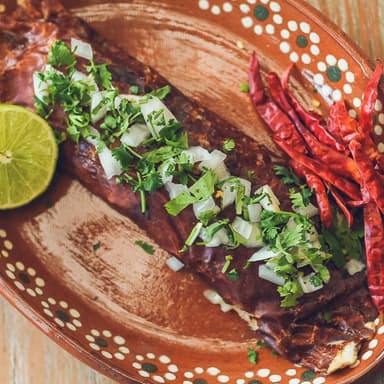 Burrito Birria
