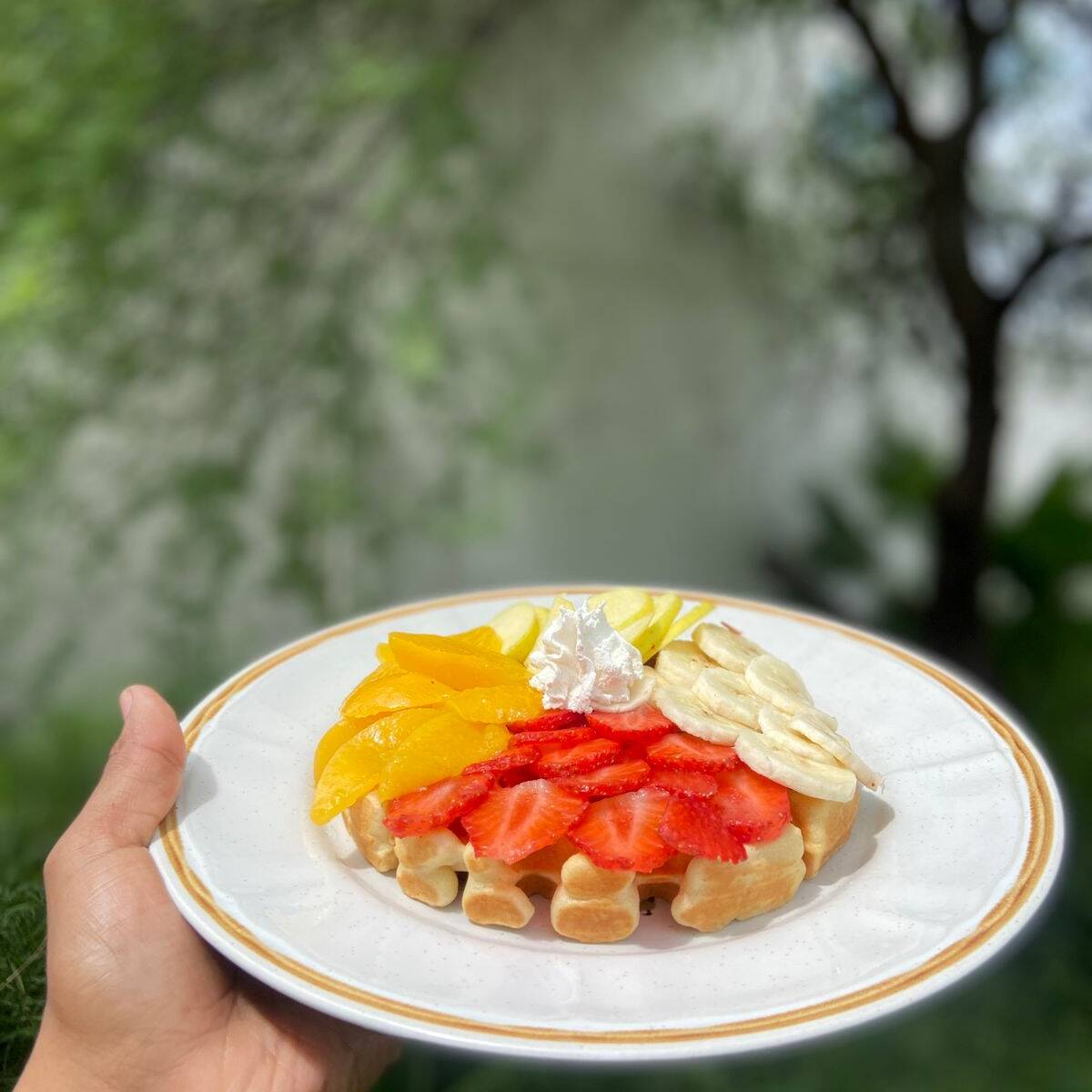 Waffle con Fruta