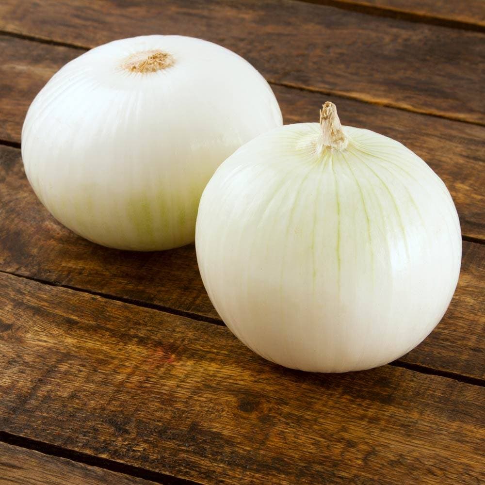 Cebolla Blanca Precio por KG
