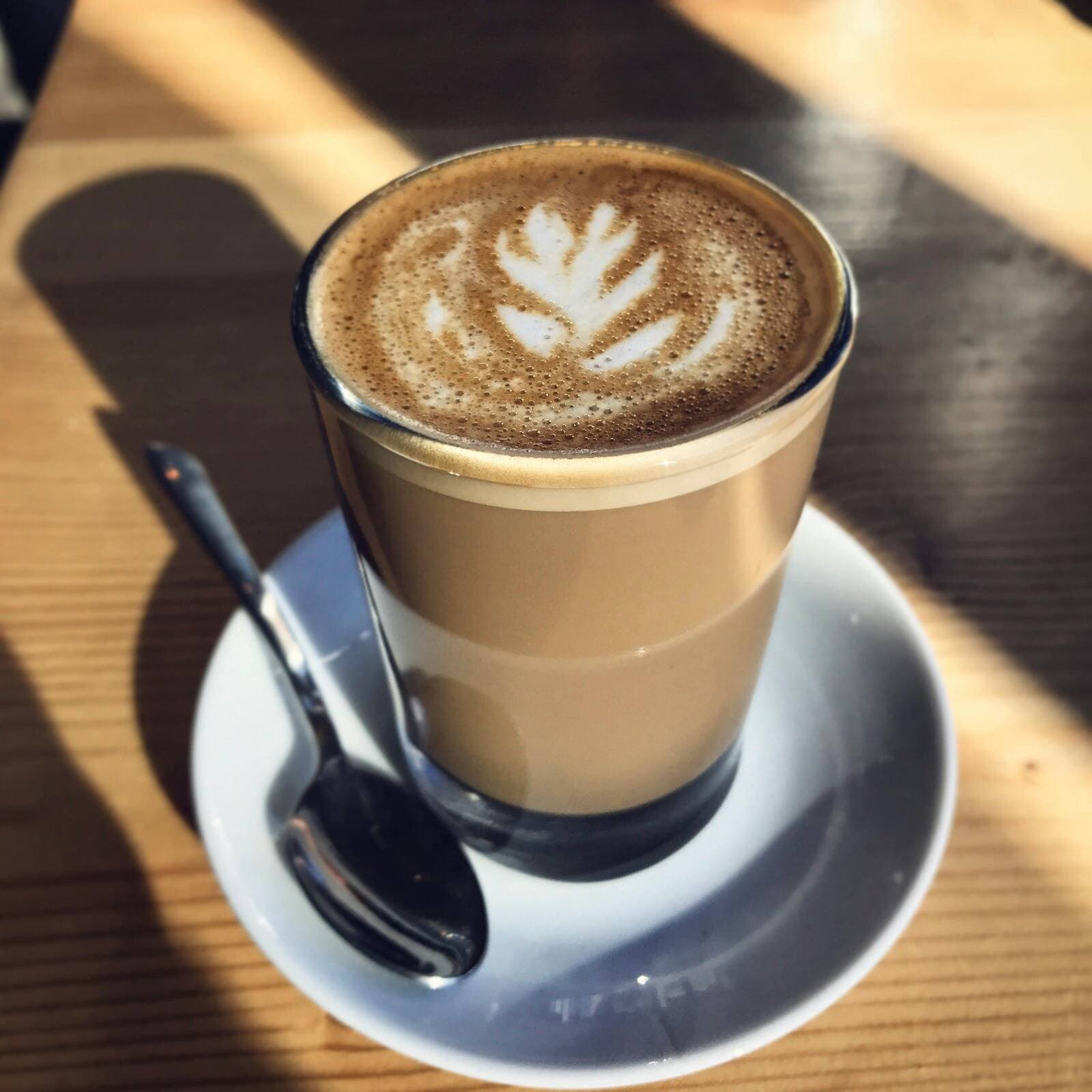 Capuchino (Café de Especialidad) 12oz
