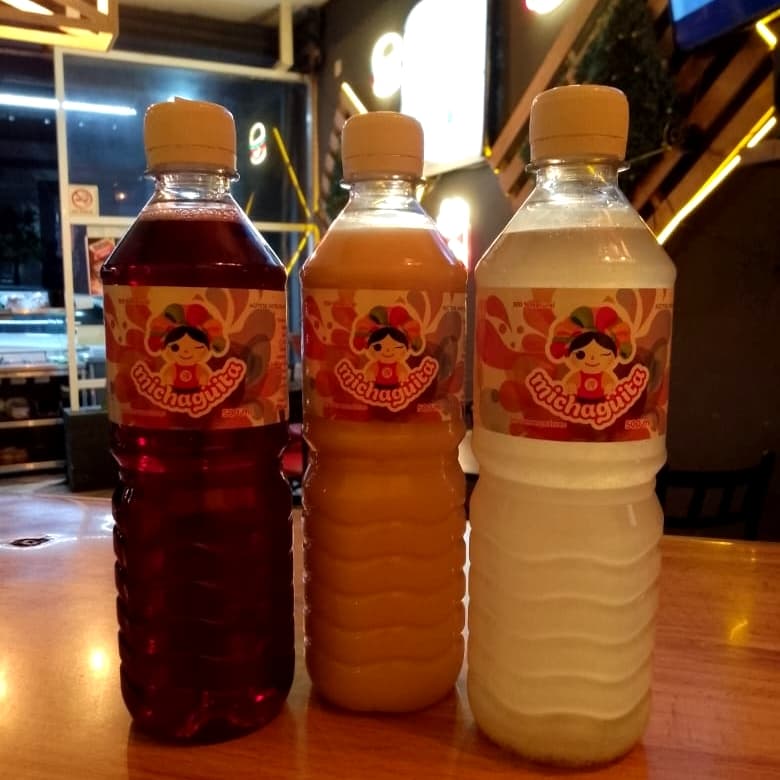 Agua de Jamaica 500ml
