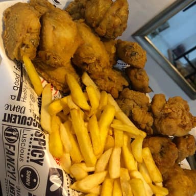 Alitas X24