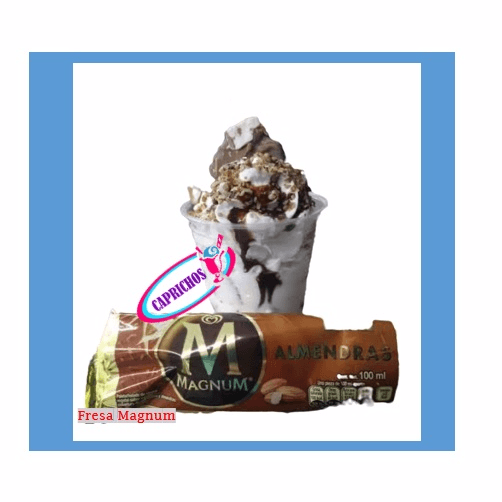 Fresa Magnum